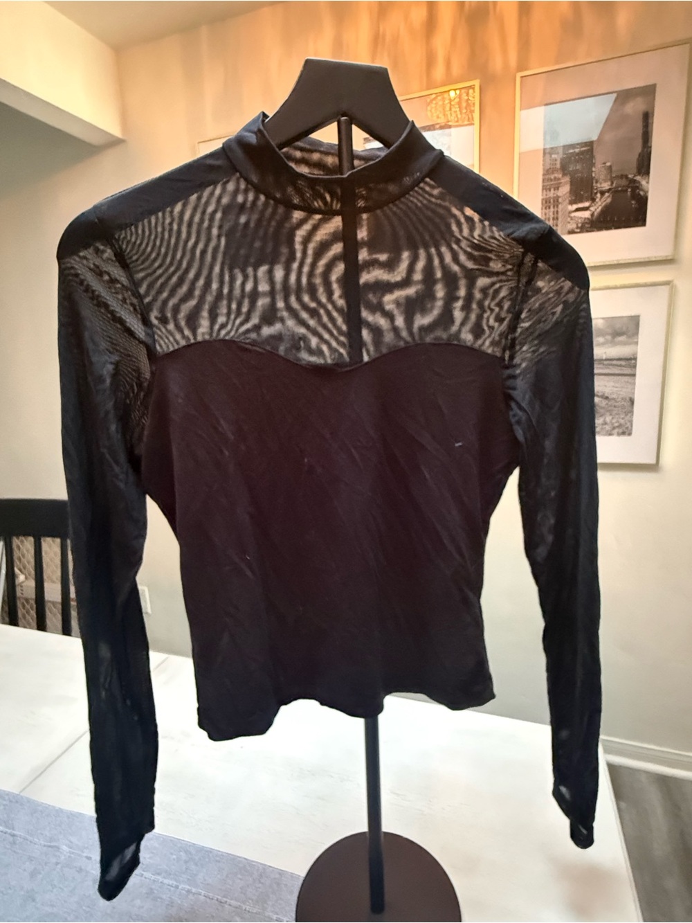 SHEIN Black Sheer Mesh Yoke Long Sleeve Top